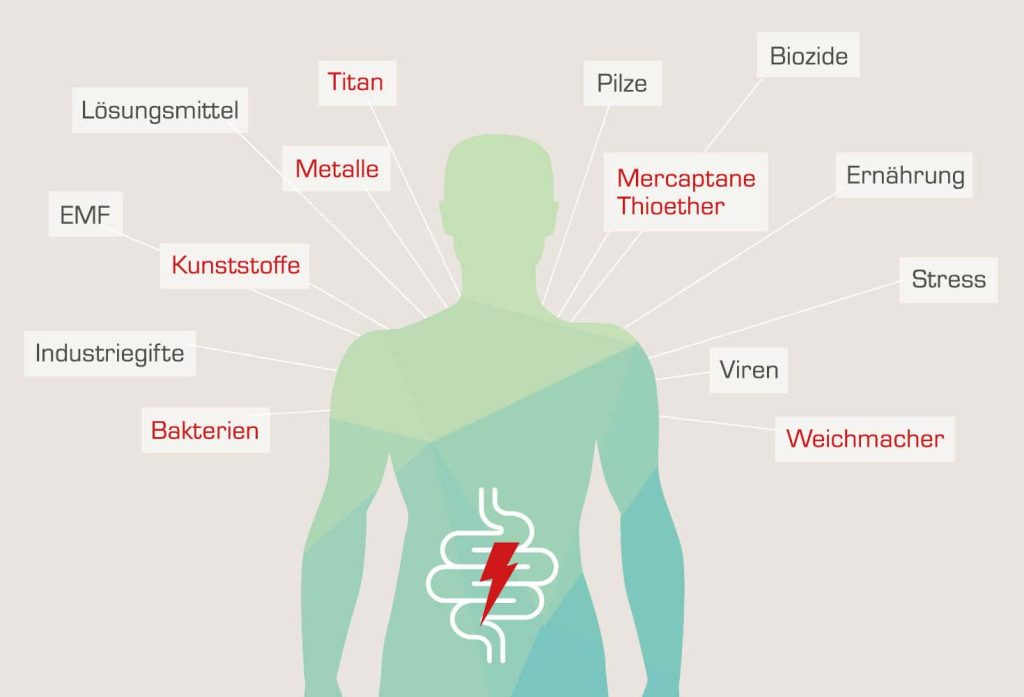 Schematische Darstellung eines menschlichen Körpers, der von Fremdstoffen wie Metallen, Titan, Kunsstoffen und Weichmachern umgeben ist.